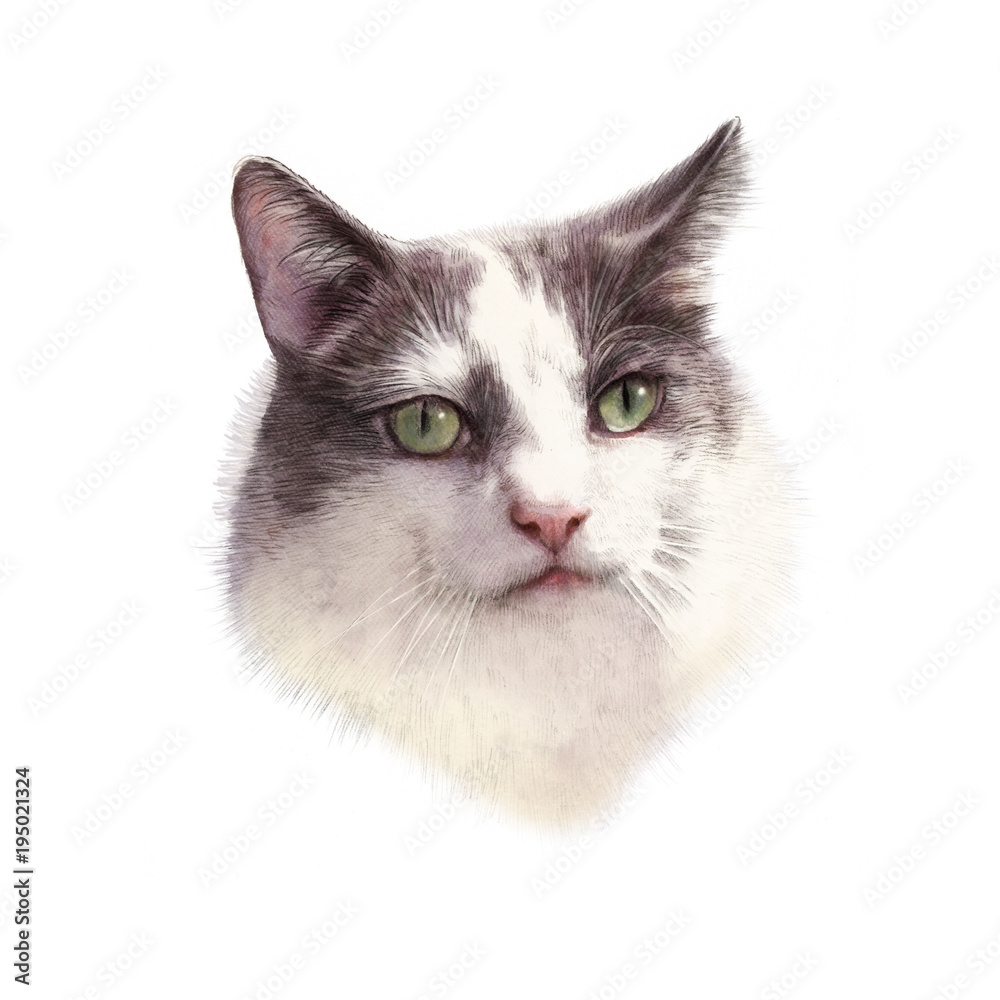 Cute cat isolated on white background. Drawing of a cat head with green eyes executed in pastel and pencil. Good for print T-shirt, card, cover, banner. Hand painted cat illustration. Design template