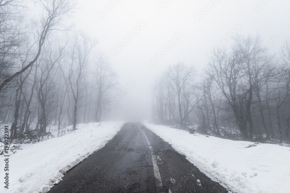 Road in foggy snowy forest Road in foggy snowy forest
