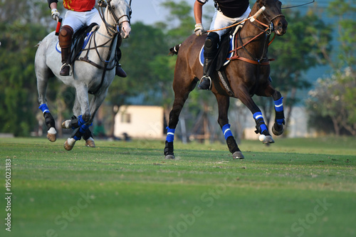 Polo Player battle in match