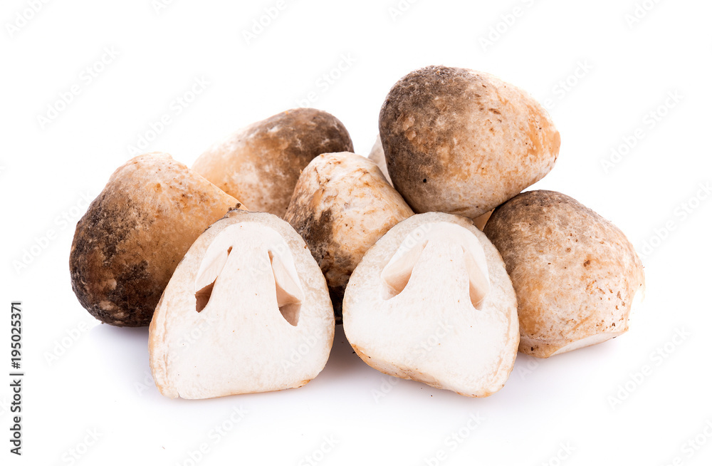 Straw mushrooms isolated on white background Straw mushrooms isolated on white background