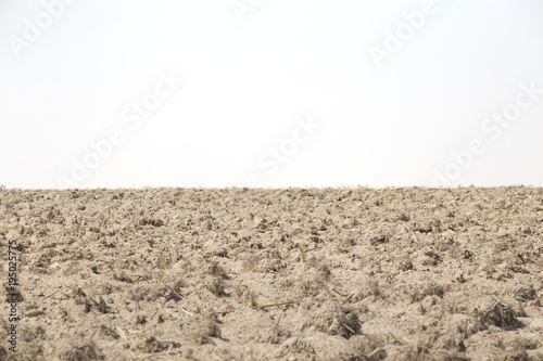 Принти на полотні Ploughland or cultivated land isolated on white.