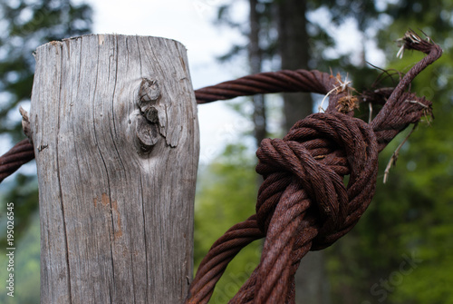 Le bois et le fer, la concurrence des nœuds ! © Olivier Klencklen