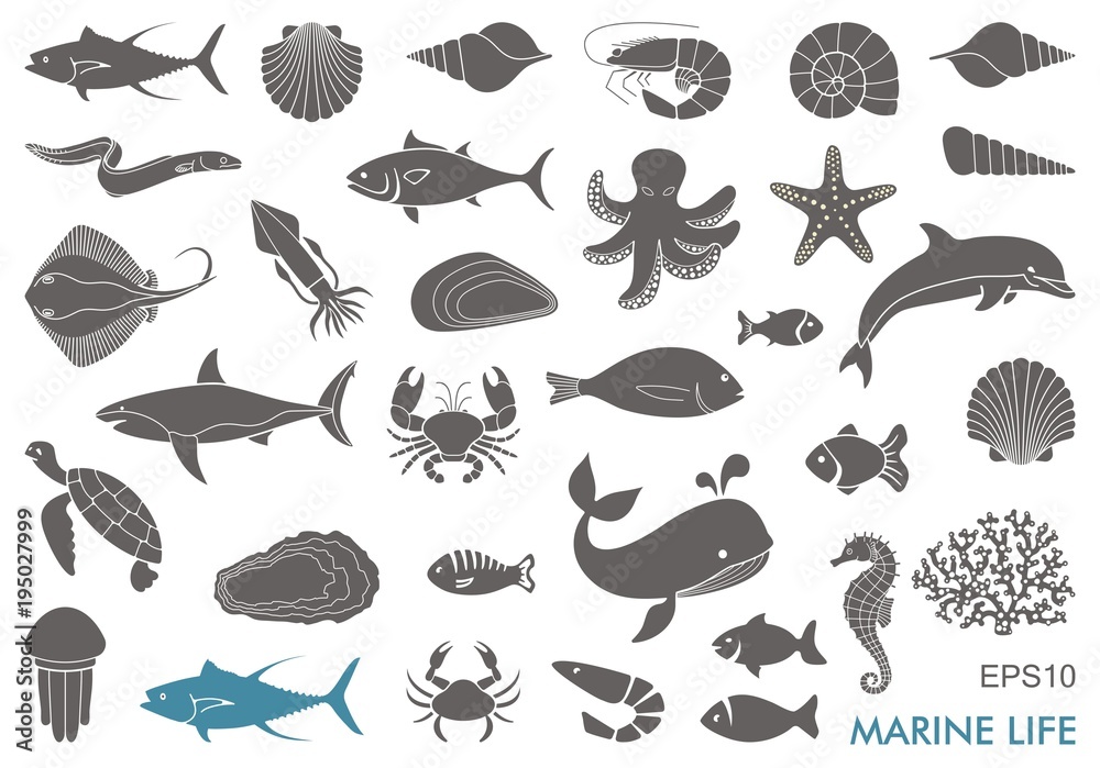 Obraz premium Marine life icons