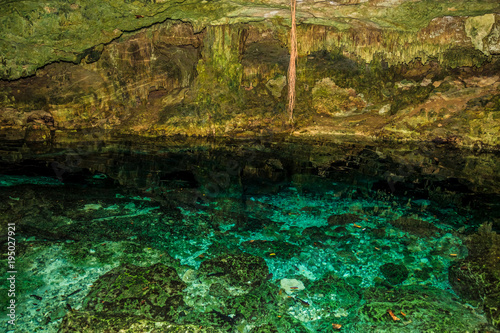 Fototapeta Naklejka Na Ścianę i Meble -  Озеро в пещере, сеноты Мексики
