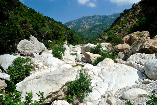 Il rio Flumineddu all'uscita dalla gola di Gorropu photo