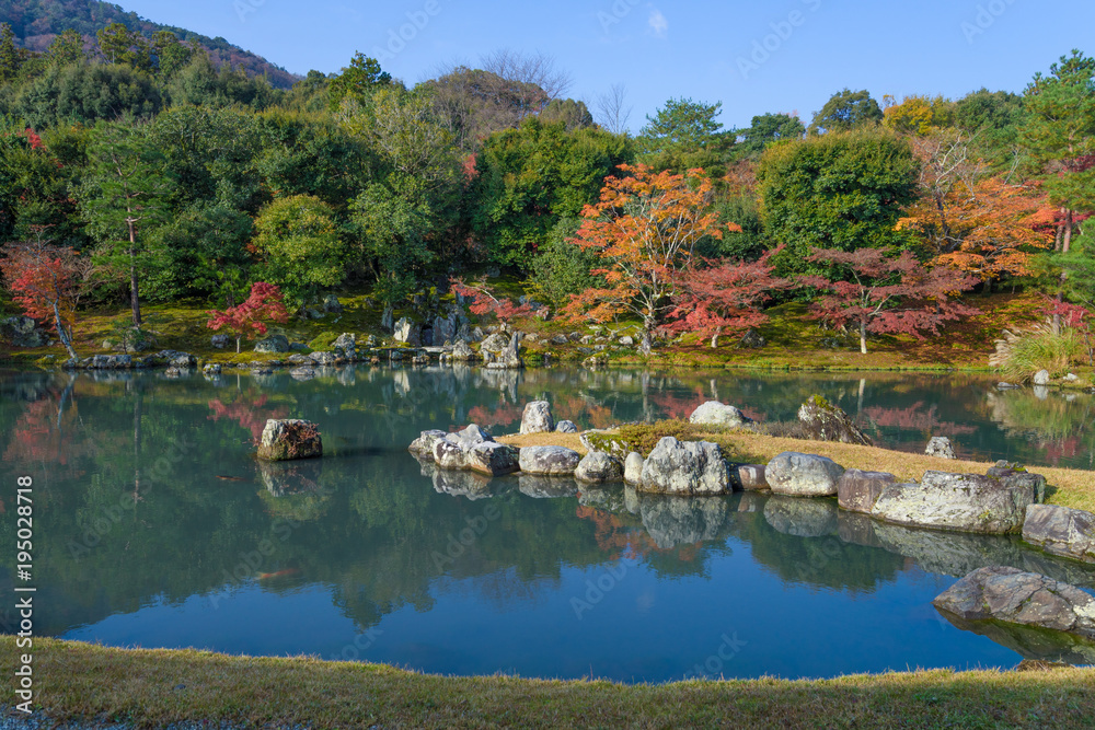 Fototapeta premium 秋 京都の紅葉