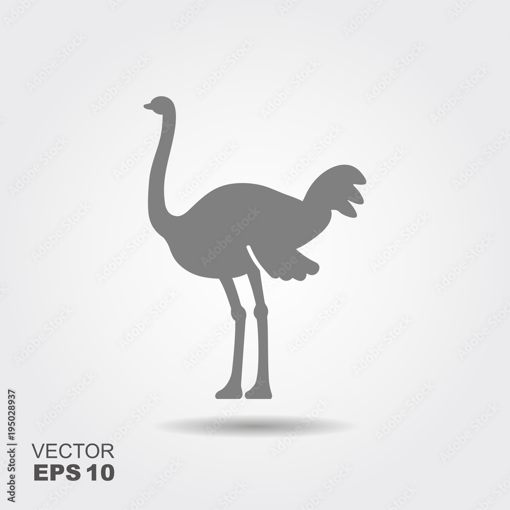 Ostrich vector icon Ostrich vector icon