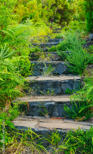 Old stone stairs among the grass