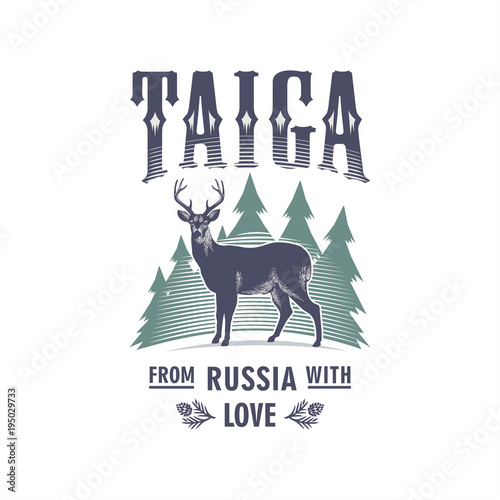 Тайга, Олень на фоне елей, рога, Россия, любовь, иллюстрация, вектор