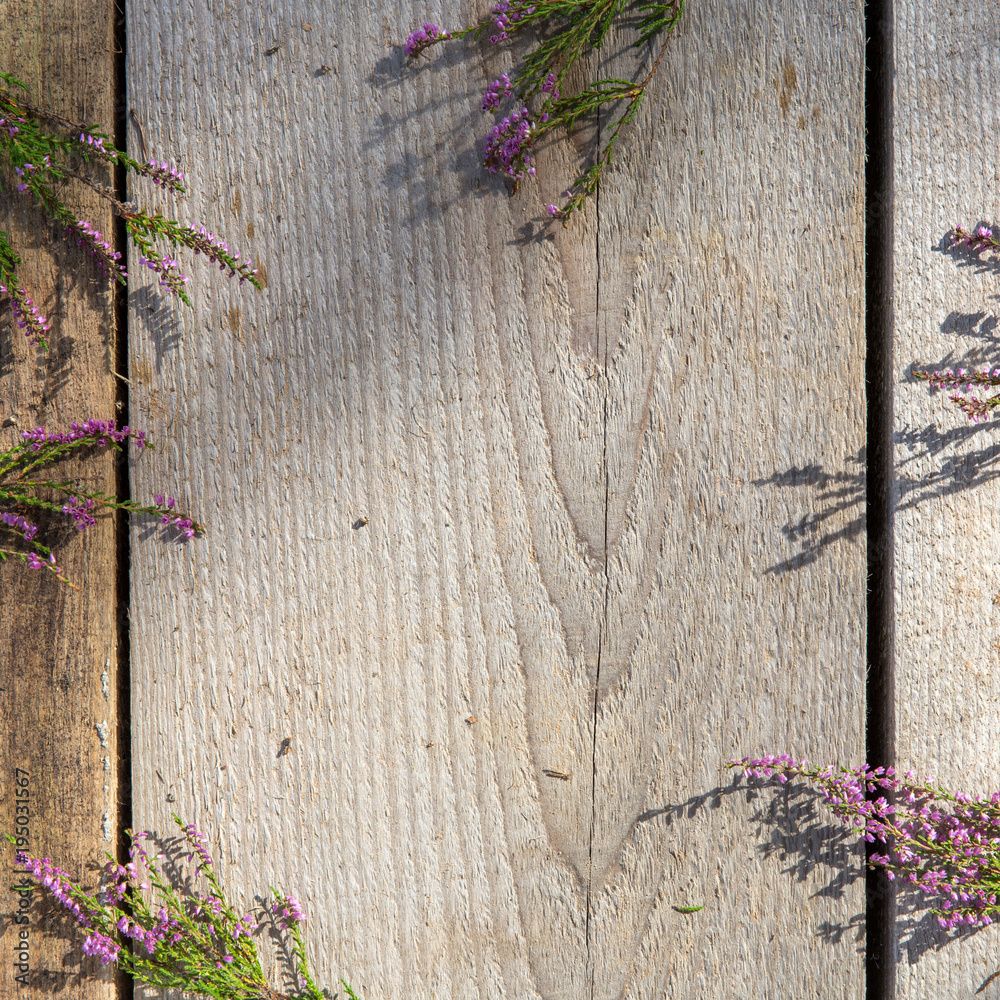 Heap Of Pink Heather Flower (calluna Vulgaris, Erica, Ling) On