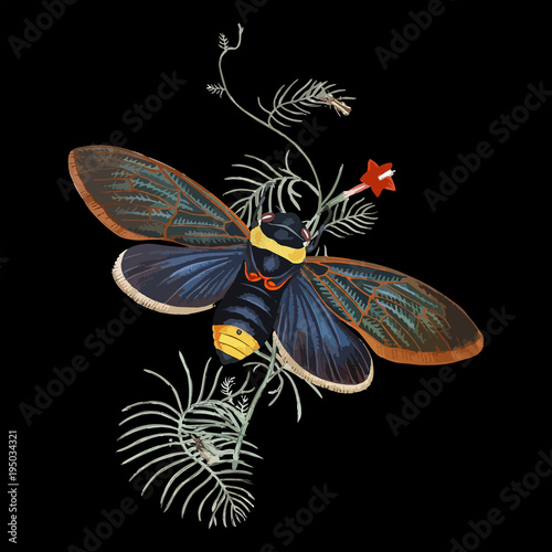 Antique Insect vector illustration. Vintage drawing