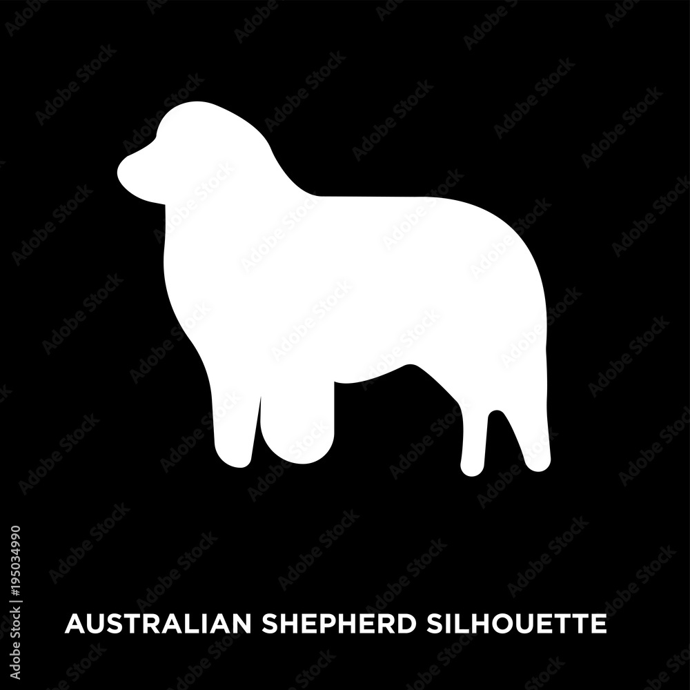 white australian shepherd silhouette on black background white australian shepherd silhouette on black background