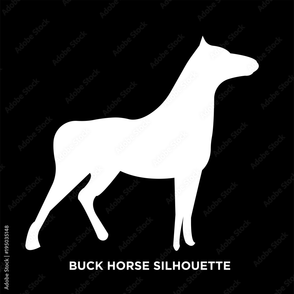 white buck horse silhouette on black background white buck horse silhouette on black background