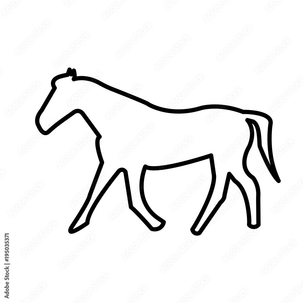 buck horse silhouette outline on white background