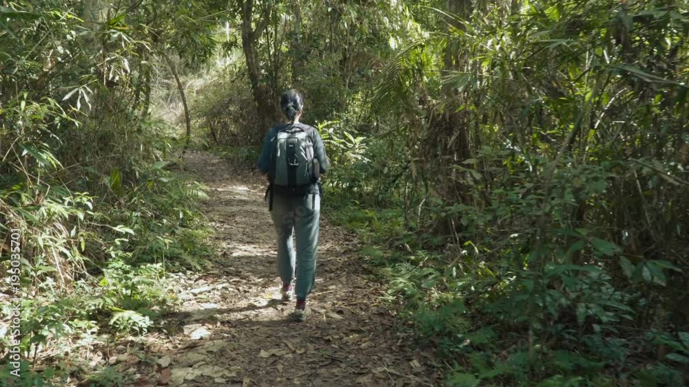 Hiking outdoors on nature - pretty woman walking through beautiful jungle. Walking the trek with backpack. Hiking outdoors on nature - pretty woman walking through beautiful jungle. Walking the trek with backpack.