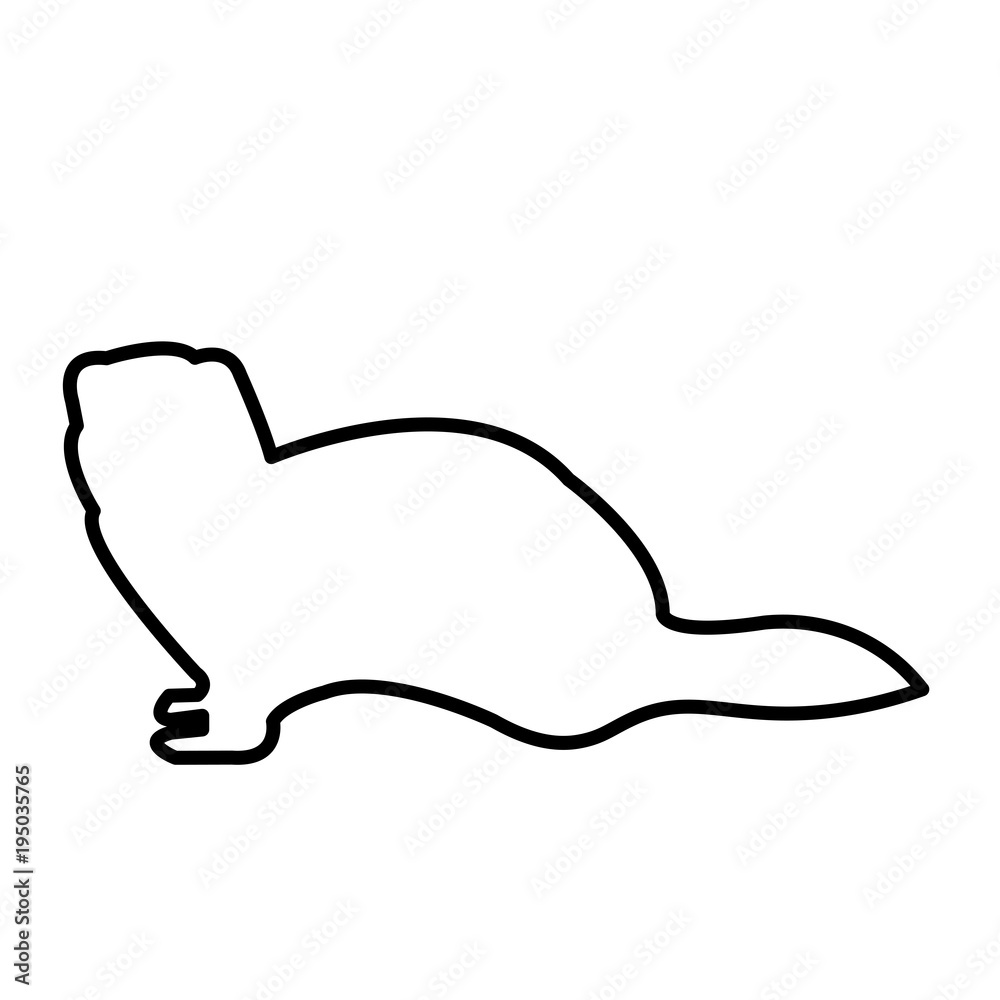 ferret silhouette outline on white background ferret silhouette outline on white background