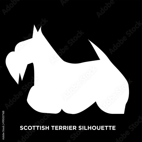 white scottish terrier silhouette on black background
