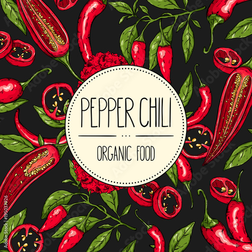 Vector hand-drawn banner with mexican hot pepper chili, slices, halves, crushed pieces and branch of peppers. Vector illustration for shop, book, emblem, menu, label.