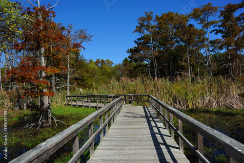 Black Bayou Lake National Wildlife Refuge Boardwalk