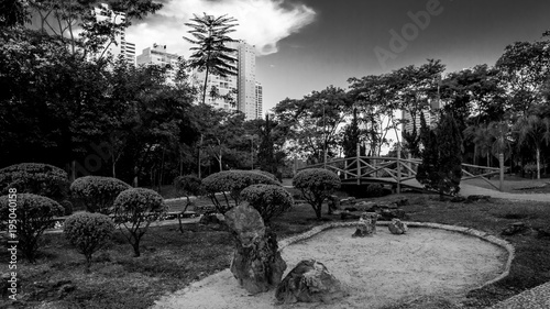 japanse garden photo