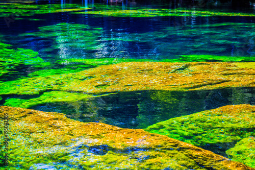 Пещера голубого озера с крупными цветными камнями в лесу. Сенот Мексика