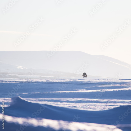 Beautiful minimalist landscape of winter in central Norway. Clear scenery in sunny day.