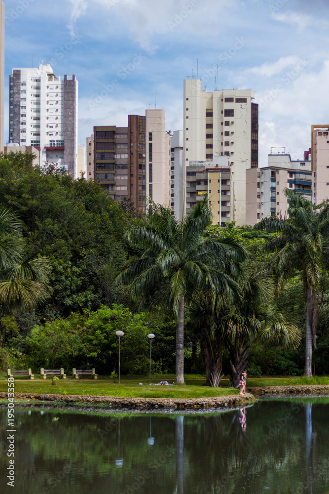 Fototapeta premium park