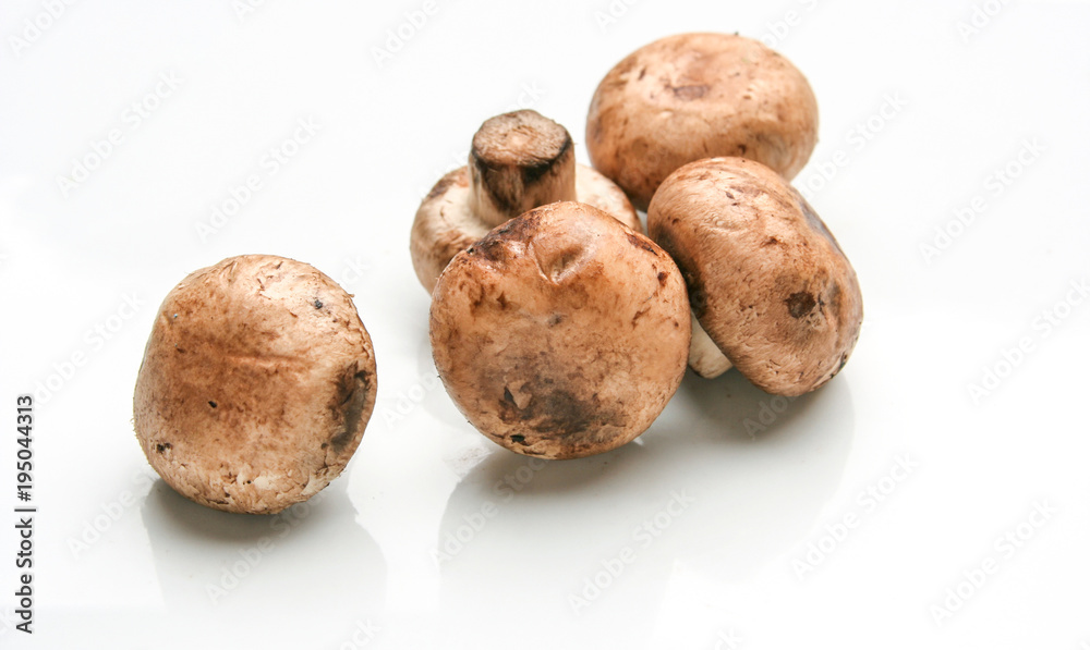 Fresh mushrooms over white background Fresh mushrooms over white background