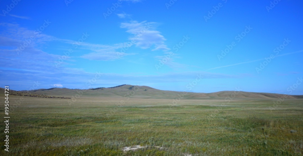 Unendliche Steppe in Kasachstan! Unendliche Steppe in Kasachstan!