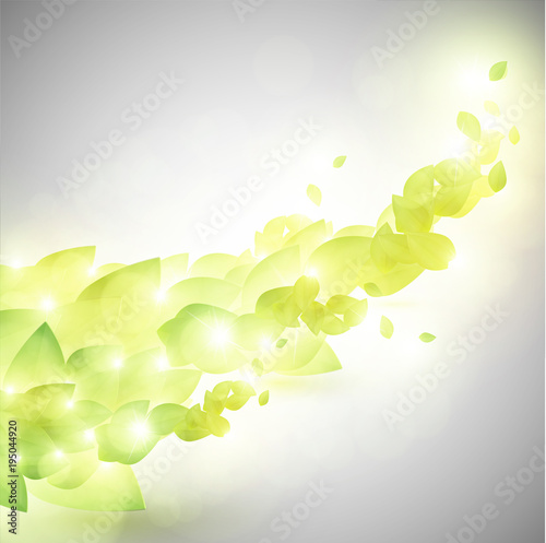 Abstract green leaves, vector.