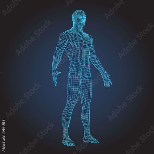 3D wire frame human body full face