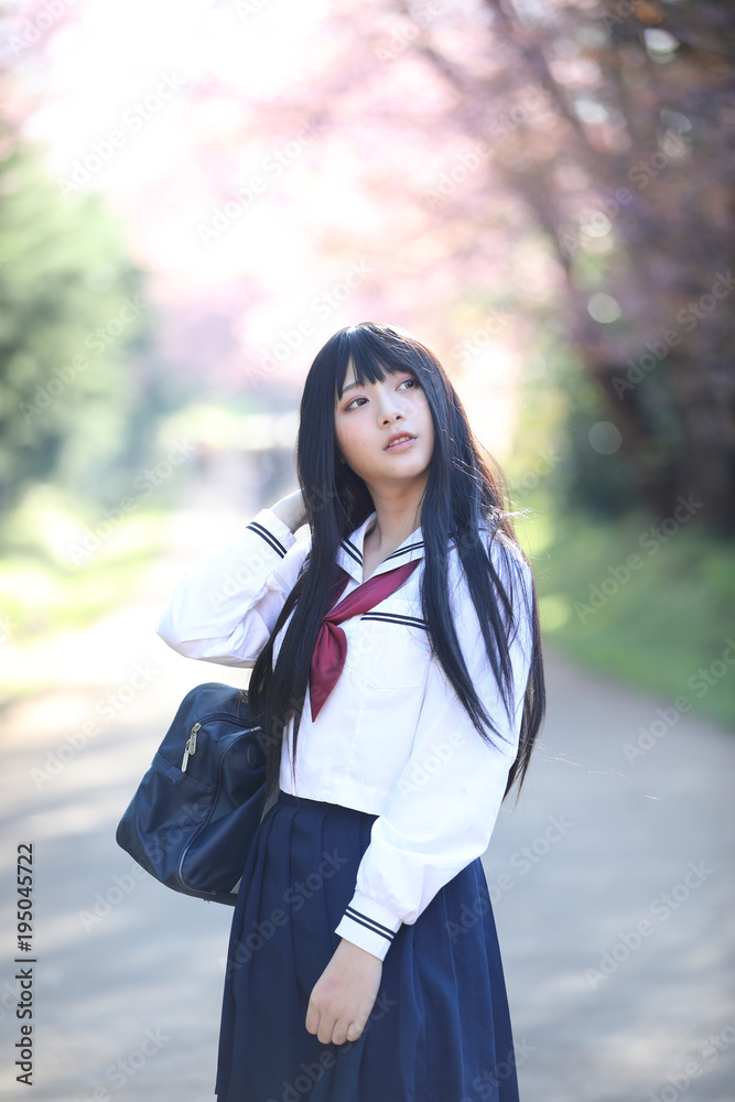 Japanese school girl dress with sakura flower nature walkway Japanese school girl dress with sakura flower nature walkway