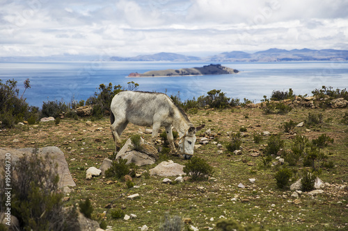 Isla del Sol on lake Titica...