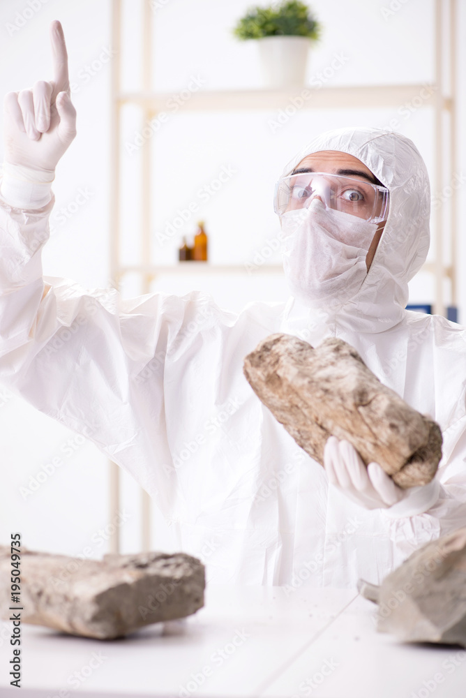 Scientist looking and stone samples in lab Scientist looking and stone samples in lab