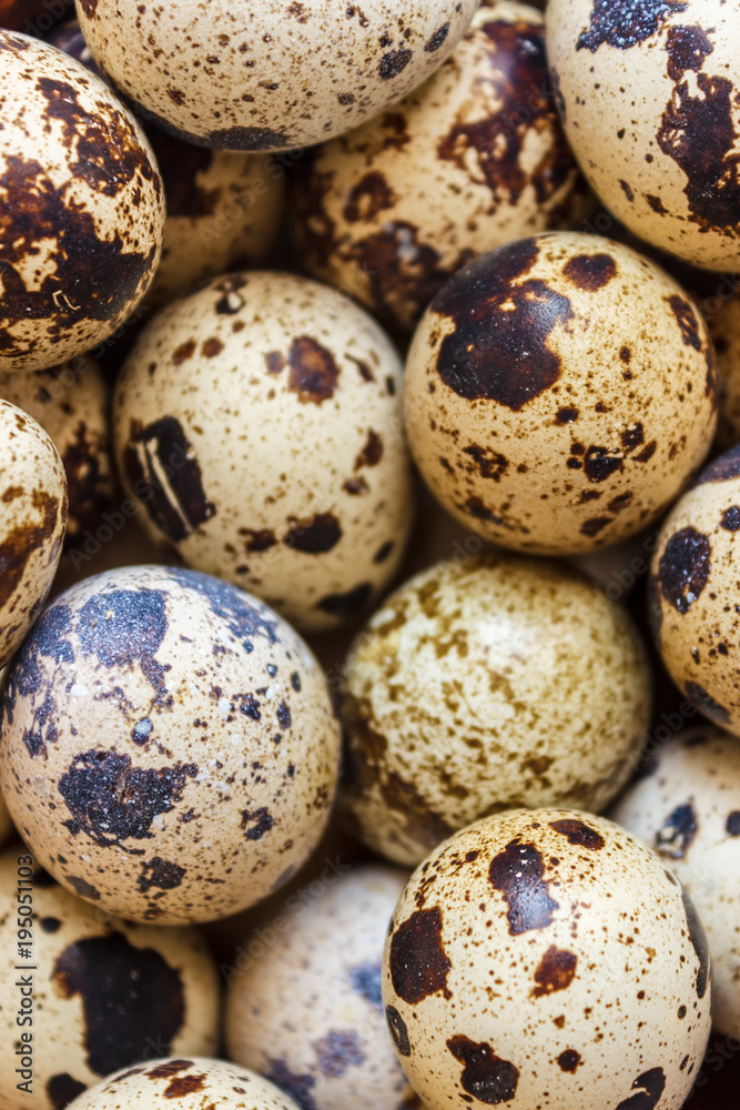 Quail eggs in a clay plate on a wooden background, a plate for storing quail eggs, a symbol of the Easter season. Healthy eating. Quail eggs in a clay plate on a wooden background, a plate for storing quail eggs, a symbol of the Easter season. Healthy eating.