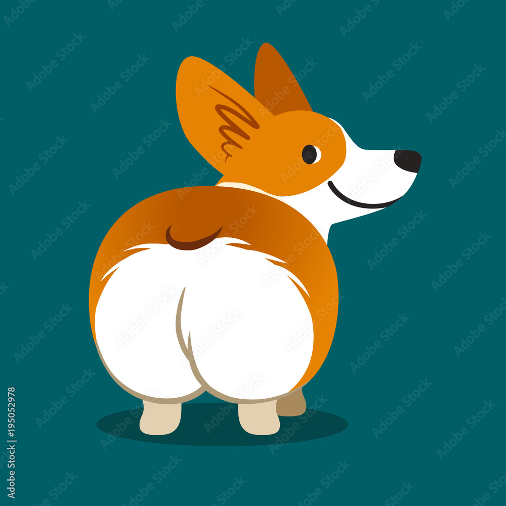 Cute smiling welsh corgi dog vector cartoon illustration isolated on aqua  green background. Funny corgi butt contemporary flat style design element  for icons, stickers, cards. Stock Vector | Adobe Stock