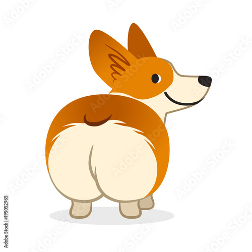 Cute smiling welsh corgi dog vector cartoon illustration. Funny corgi butt flat style design element isolated on white.