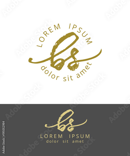 B S. Initials Monogram Logo Design. Dry Brush Calligraphy Artwork