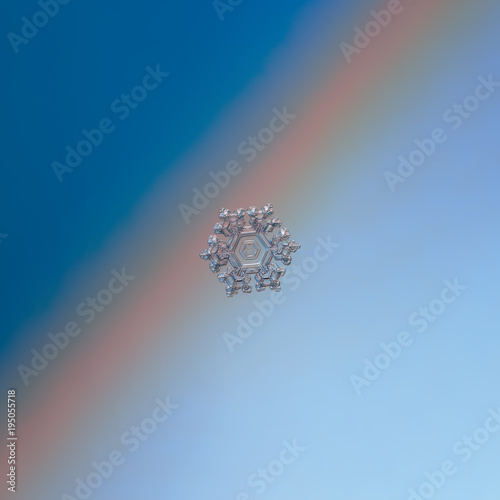 Snowflake glittering on blue gradient background. Macro photo of real snow crystal: small sectored plate with glossy surface, relief centrel hexagon, six broad arms and complex inner pattern. photo