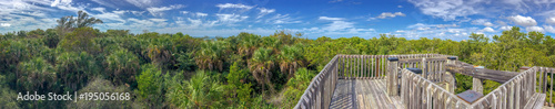 Wooden path across the Everglades, panoramic view © jovannig