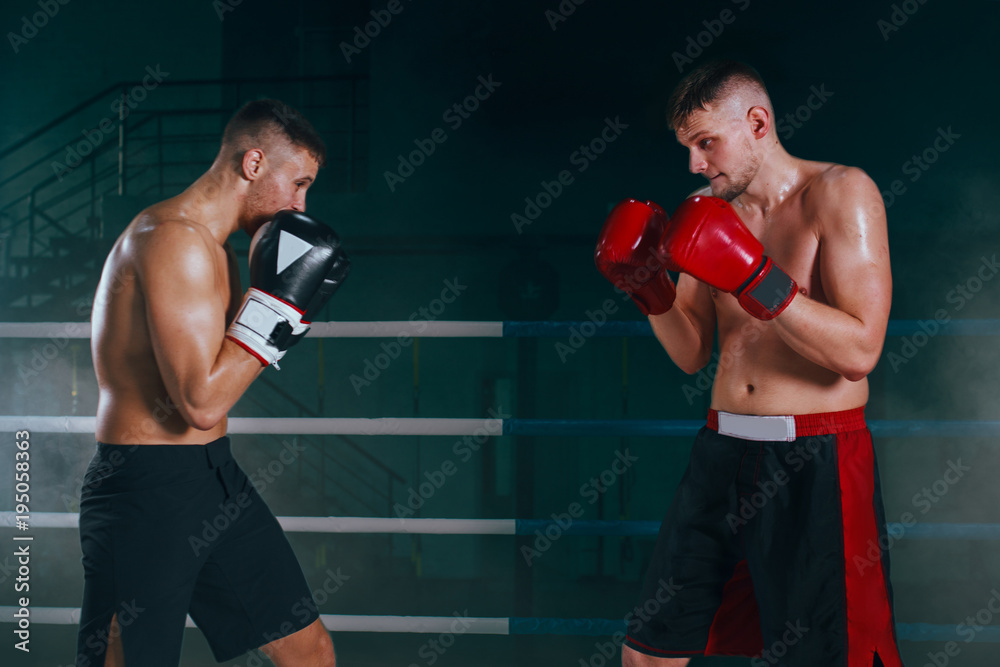 professional boxer on boxing ring, boxing training