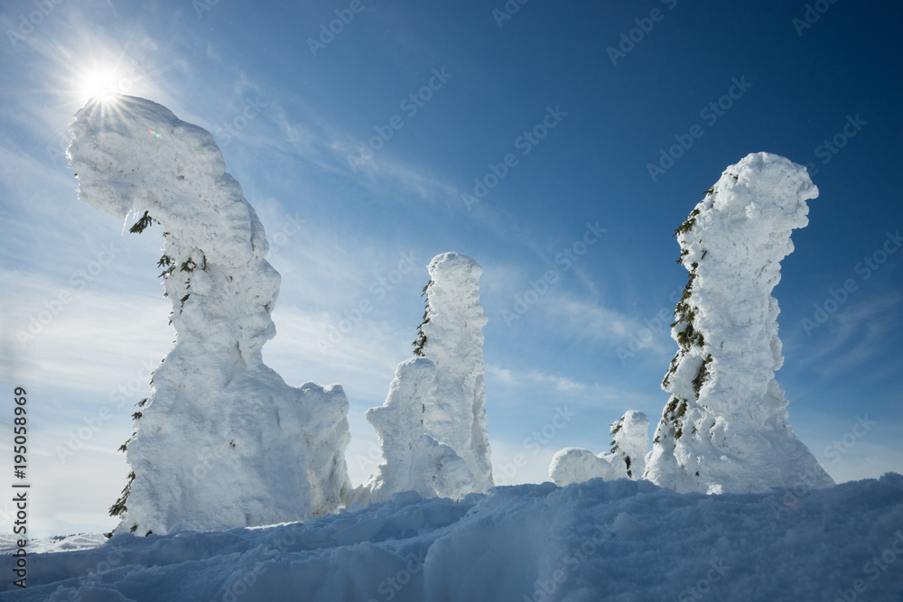 Pilsko choinki oblepione śniegiem