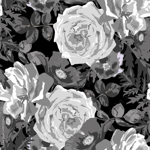 z-abstrakcyjnym-malunkiem-bialego-kwiatu-rozy