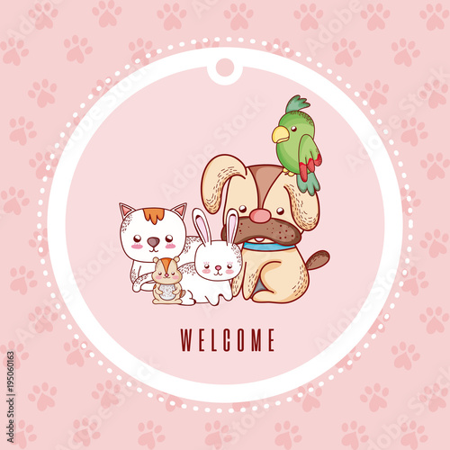 Cute greeting card with pets cartoon