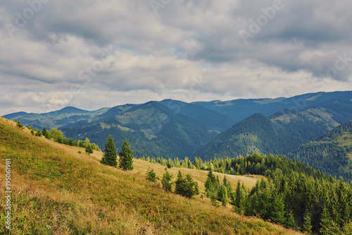 mountainous landscape with forested hills. beautiful summer scenery on a cloudy day © Ryzhkov Oleksandr