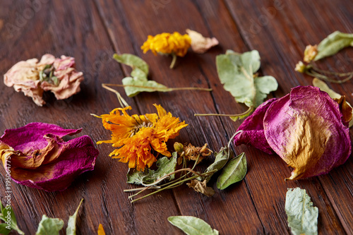 Set of assorted petals isolated on wooden background, top view, close-up, selective focus