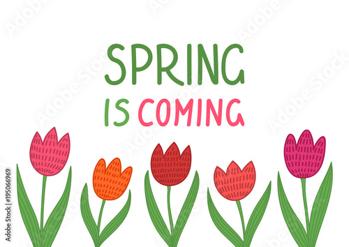 Spring is coming. Hand drawn tulips on white background. Vector illustration.
