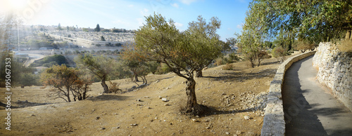 View of Jerusalem from Mount of Olives