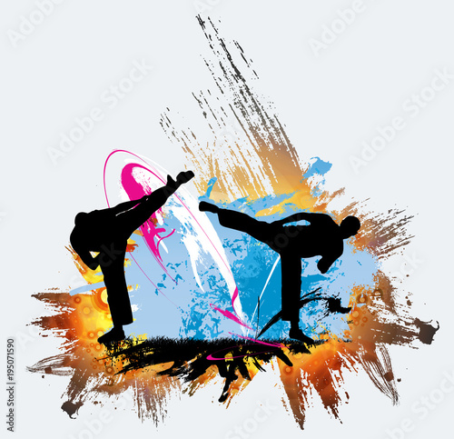 Martial arts. High kick