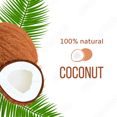 Whole and cracked Ripe coconuts and palm leaves with stripe text 100 percent natural. Vertical label. Tropical